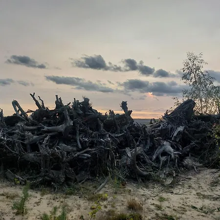 Bauwagen Gnubbel Am Jahnteich Kemp