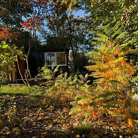 Bauwagen Gnubbel Am Jahnteich *