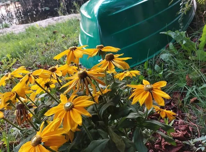 Bauwagen Gnubbel Am Jahnteich