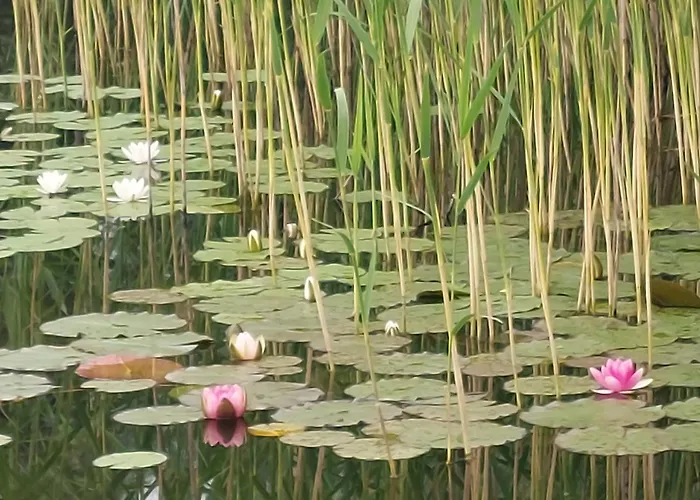 Kemp Bauwagen Gnubbel Am Jahnteich *