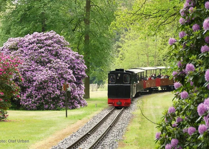 Bauwagen Gnubbel Am Jahnteich Weisswasser