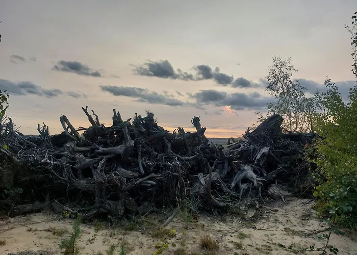 Bauwagen Gnubbel Am Jahnteich Kemp