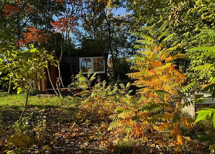 Bauwagen Gnubbel Am Jahnteich *