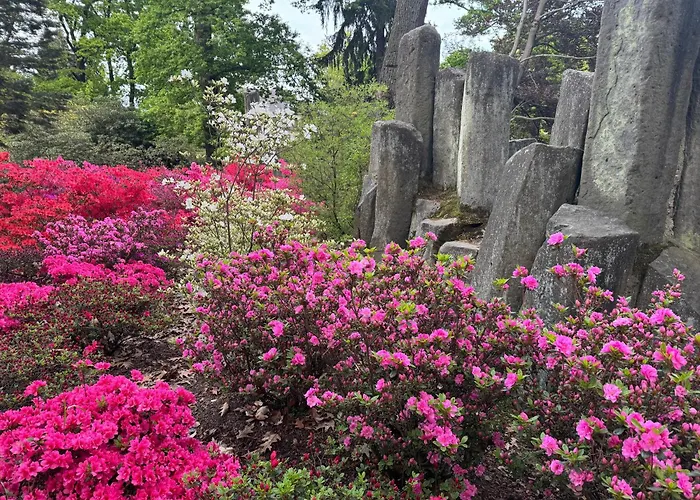 Bauwagen Gnubbel Am Jahnteich Kemp *
