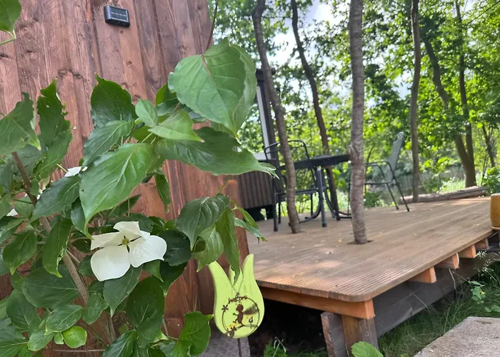 Kemp Bauwagen Gnubbel Am Jahnteich *