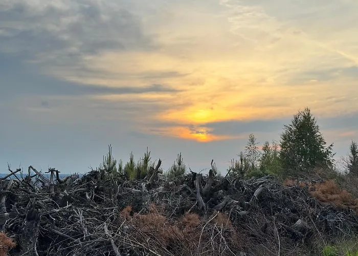 Bauwagen Gnubbel Am Jahnteich * Weisswasser